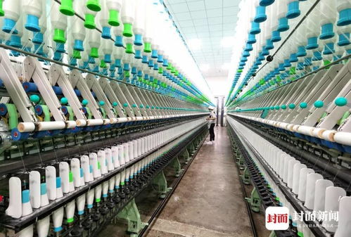 国家麻类产业技术体系首席科学家朱爱国 中国苎麻产业发展迎来 新风口