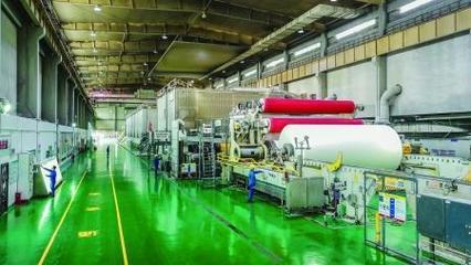 林浆纸一体化与碳汇开发 节能环保技术的新路径与协同效应